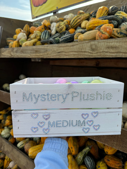 🌸Medium Mystery Box🌸